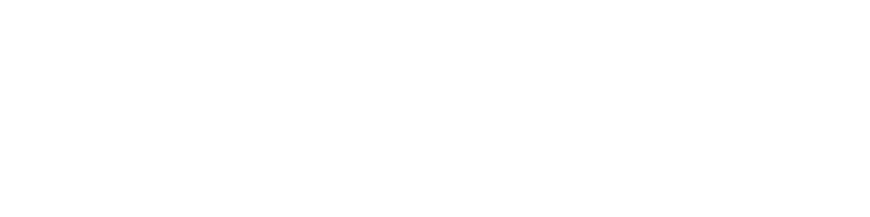 Sophia Lichtmann Logo